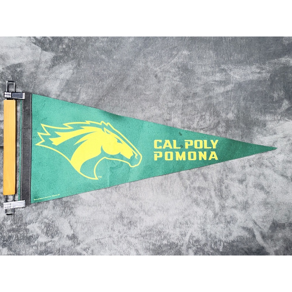 Cal Poly Pomona Pennant College University NCAA Broncos Felt Green Yellow Fan